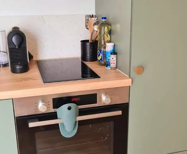 公寓 Les Chevrons *